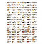 Generic Pack of 3 Kitchen Masala Sticker (Multicolor)